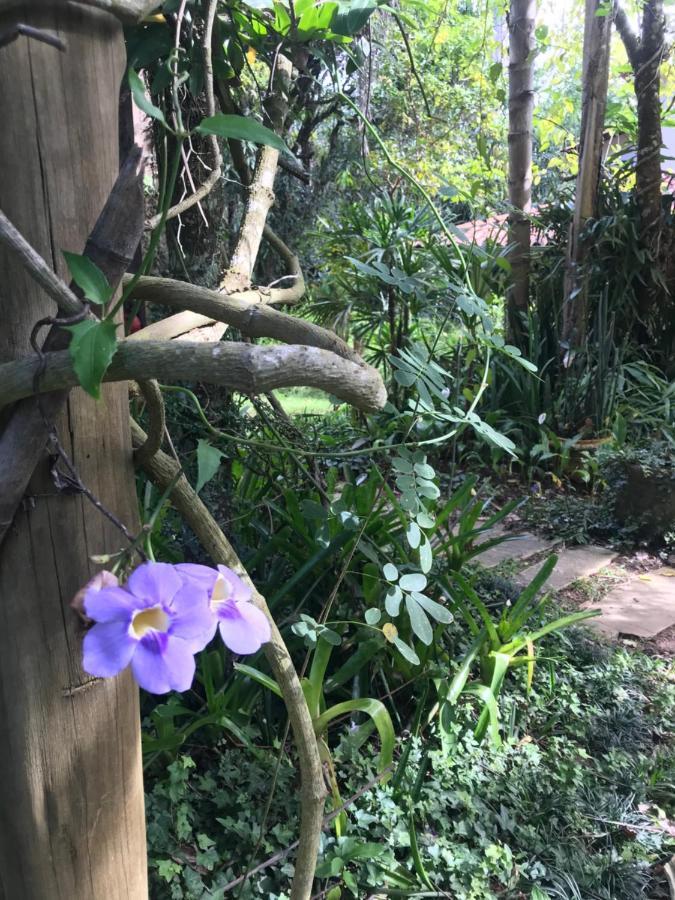 Pousada Flor De Iris São João del Rei 外观 照片